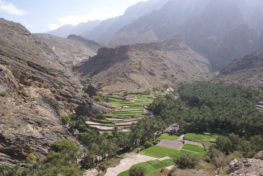 Mountain Hidden Treasures CODE: TWD – 02