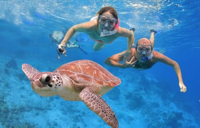 Snorkeling in the Damayniat Island Code HD – 03